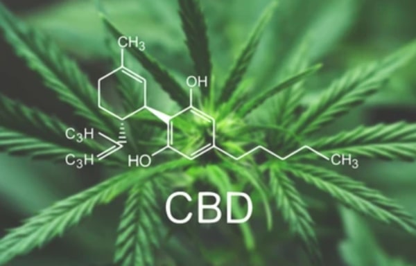 prednosti CBD-a