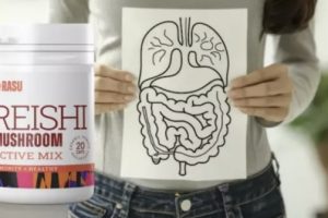 Rasu Iskustva, Kako se koristi, Prevara 2026